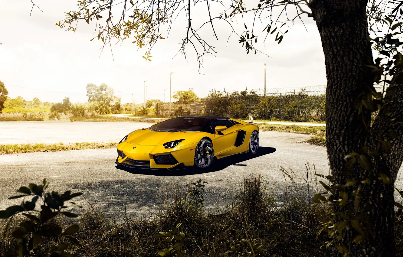 Фото обои Lamborghini, Black, Yellow, Aventador, Lp700-4, Wheels