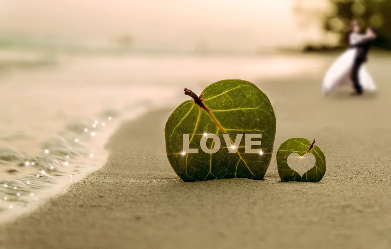 Фото обои песок, листья, вода, радость, люди, берег, пара, love