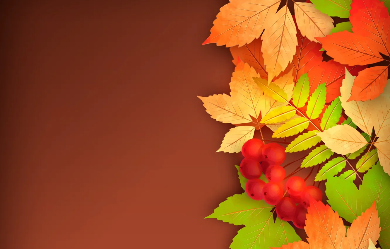 Фото обои осень, листья, рябина