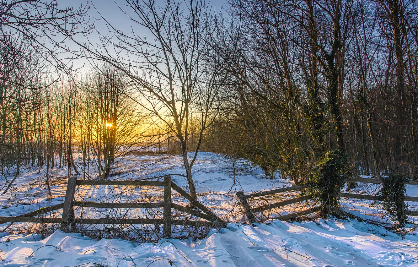 Фото обои зима, солнце, снег, деревья, закат, забор
