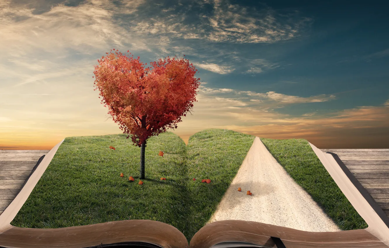 Фото обои дорога, листья, креатив, дерево, сердце, книга, закладка