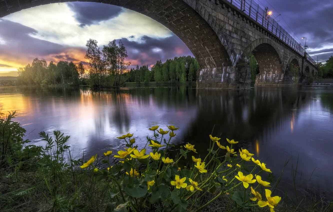 Фото обои закат, цветы, мост, река, Норвегия, Norway, Рингерике, Ringerike