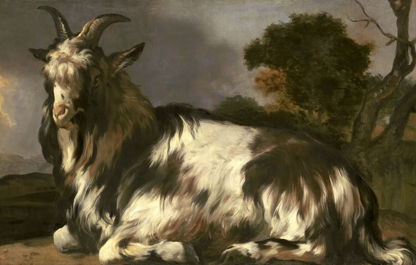 Фото обои животные, масло, картина, холст, Ян Баптист Веникс, 1660, Jan Baptist Weenix, Лежащая коза