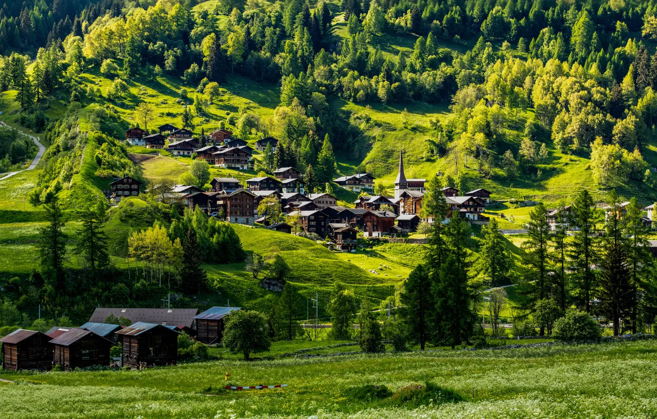Фото обои house, grass, forest, road, trees, field, landscape, nature