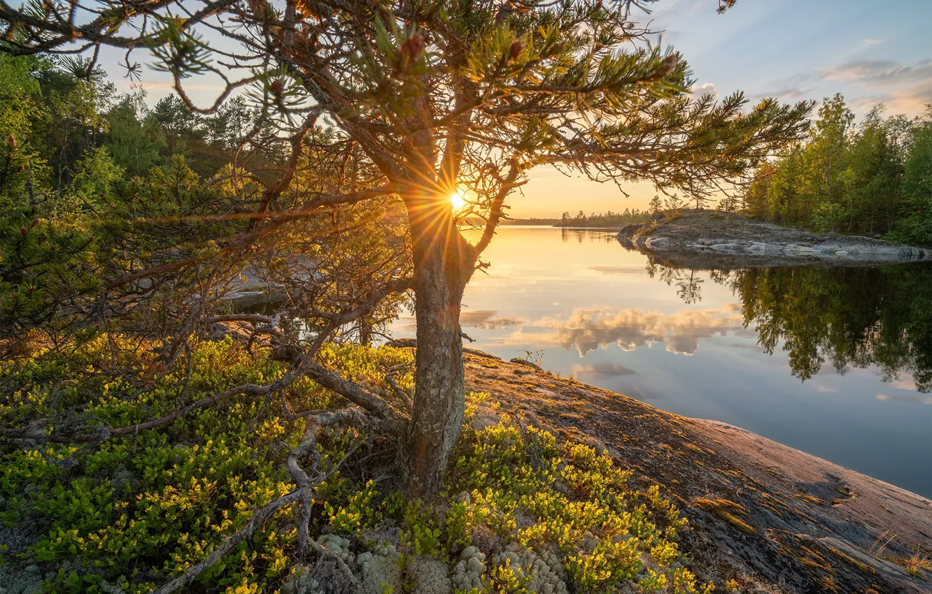 Фото обои солнце, лучи, пейзаж, закат, природа, отражение, камни, дерево