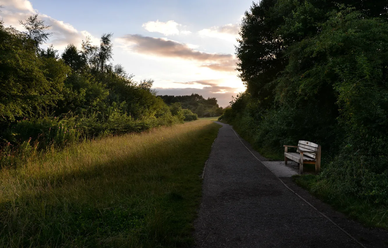 Фото обои природа, парк, скамья