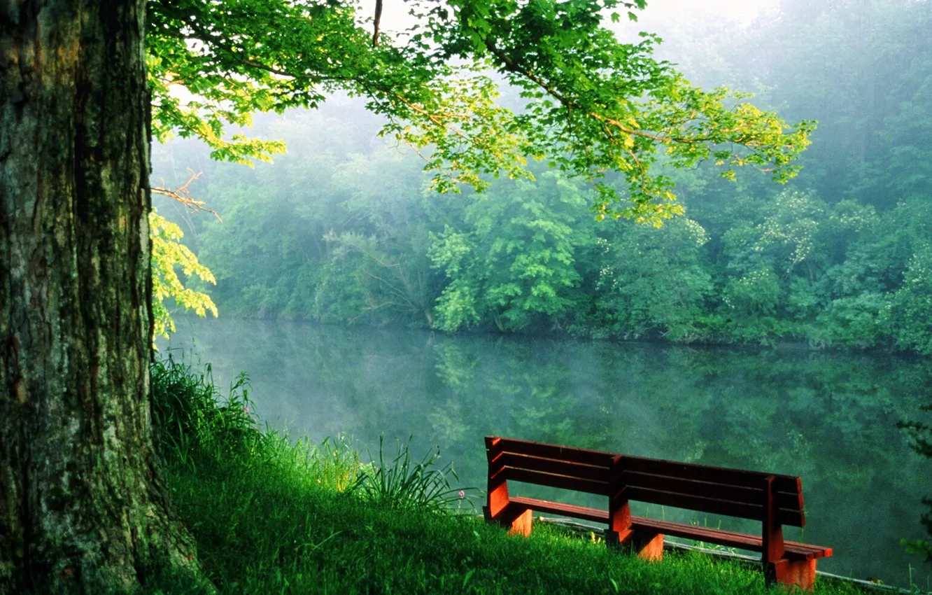 Фото обои скамейка, река, спокойствие