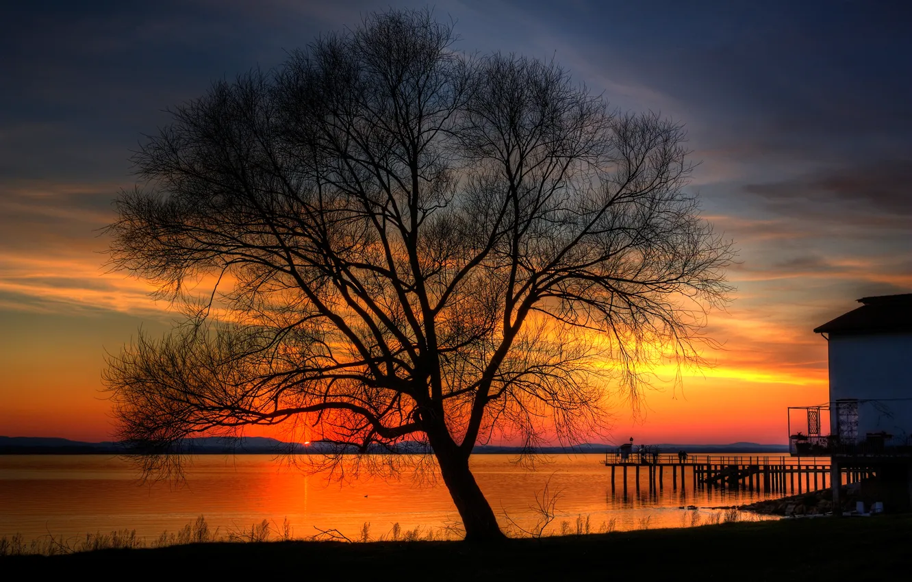 Фото обои закат, озеро, дерево, пирс