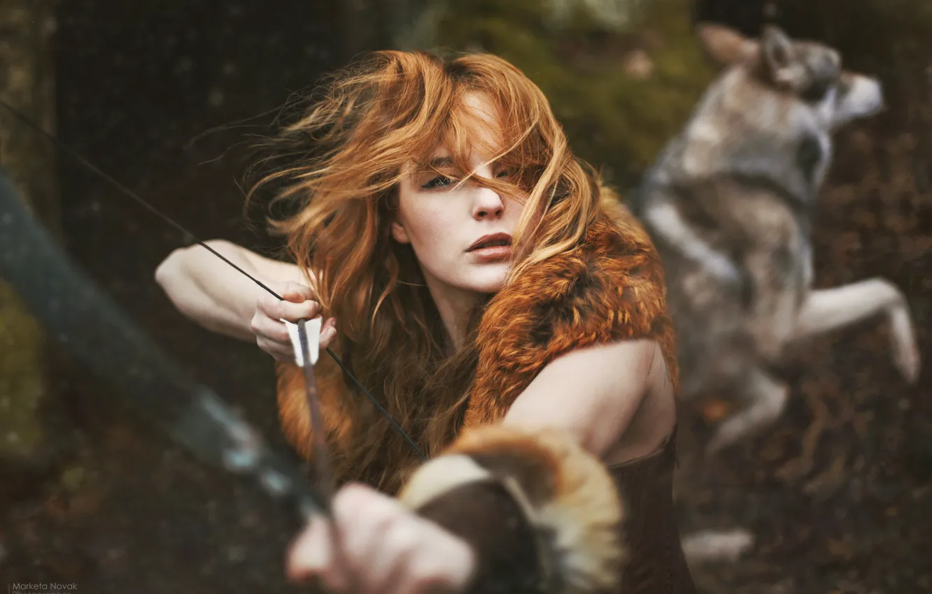 Фото обои лес, волк, рыжая девушка