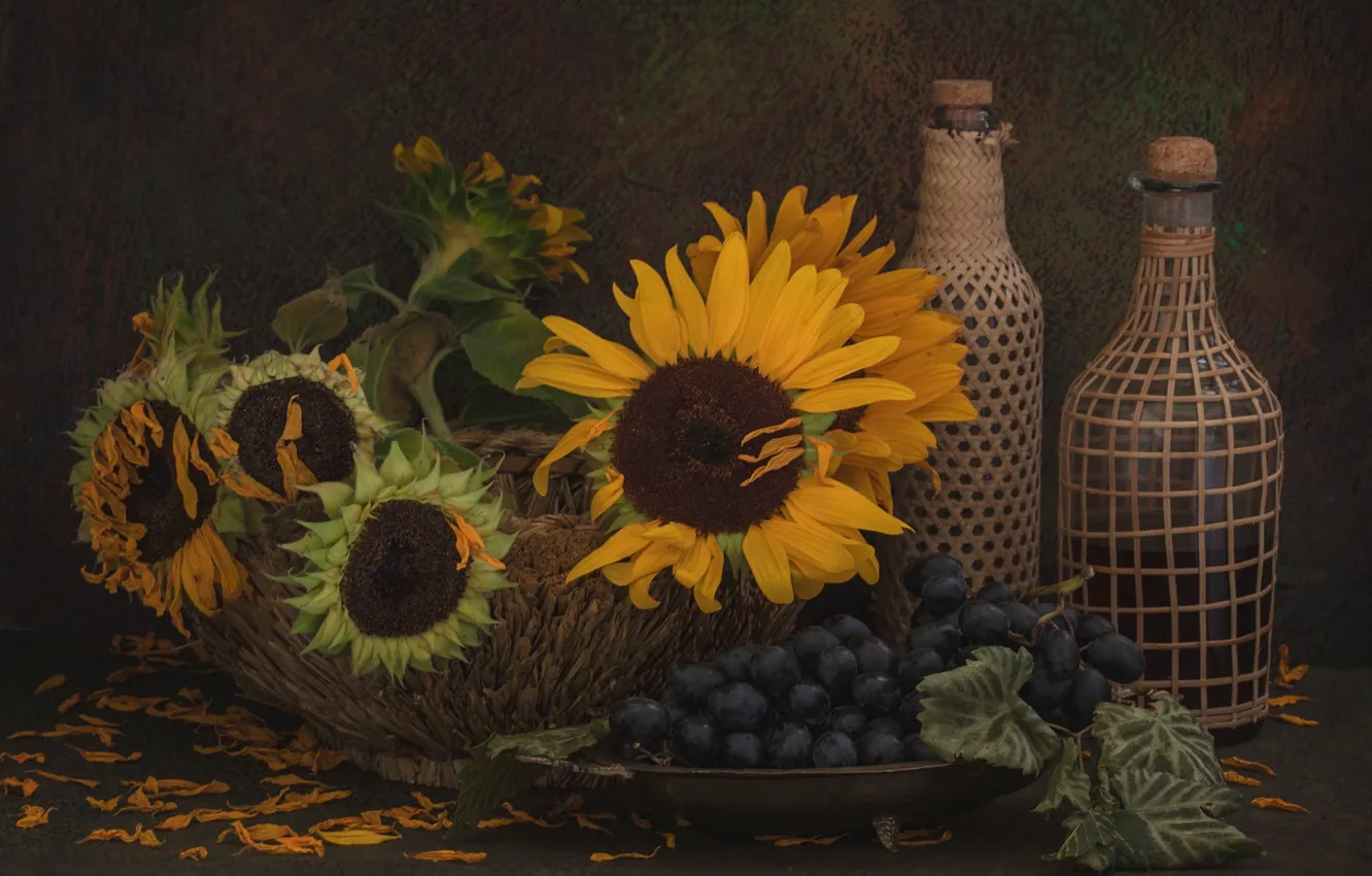 Фото обои подсолнухи, цветы, лепестки, виноград, бутылки, натюрморт, корзинка