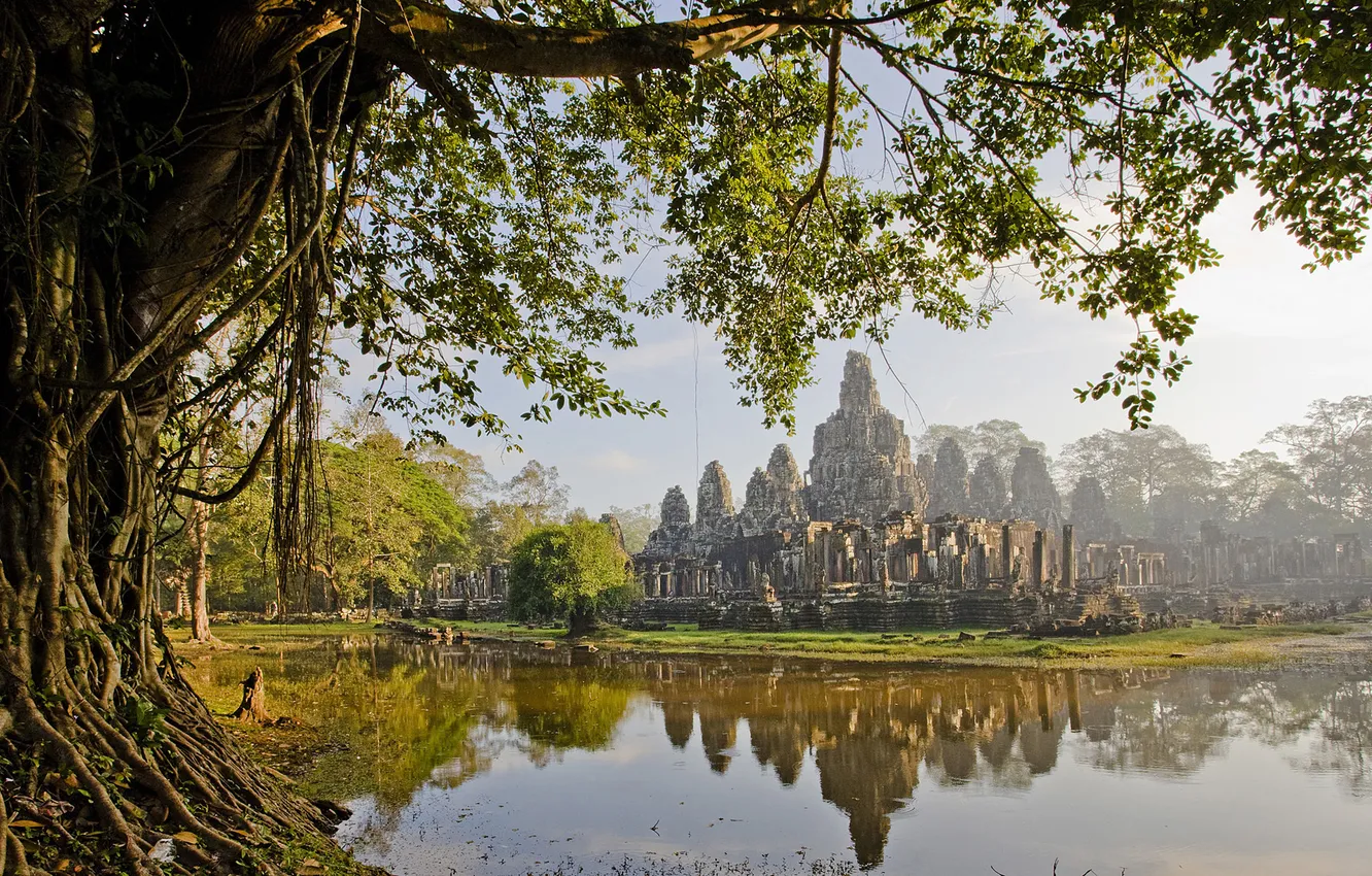 Фото обои болото, цивилизация, камбоджа