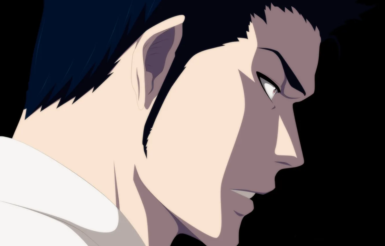 Фото обои bleach, anime, Shinigami, Isshin Shiba, Isshin Kurosaki