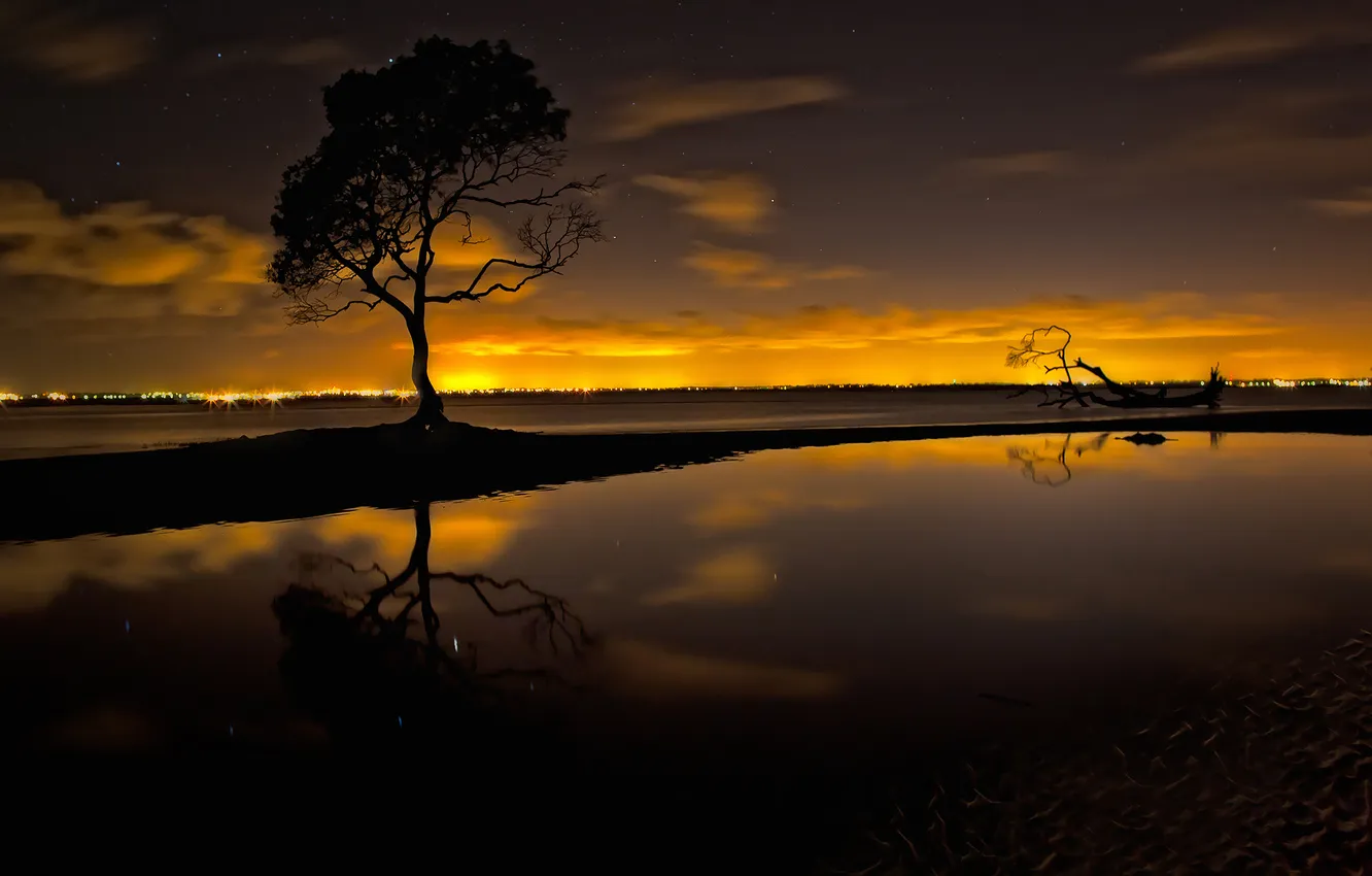 Фото обои звезды, ночь, озеро, дерево