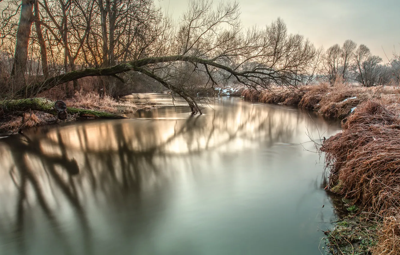 Фото обои иней, снег, деревья, река, утро
