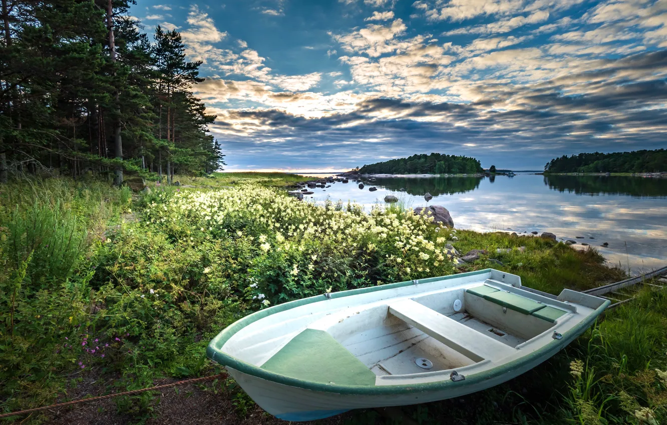 Фото обои вода, деревья, пейзаж, природа, берег, лодка, травы, Финляндия