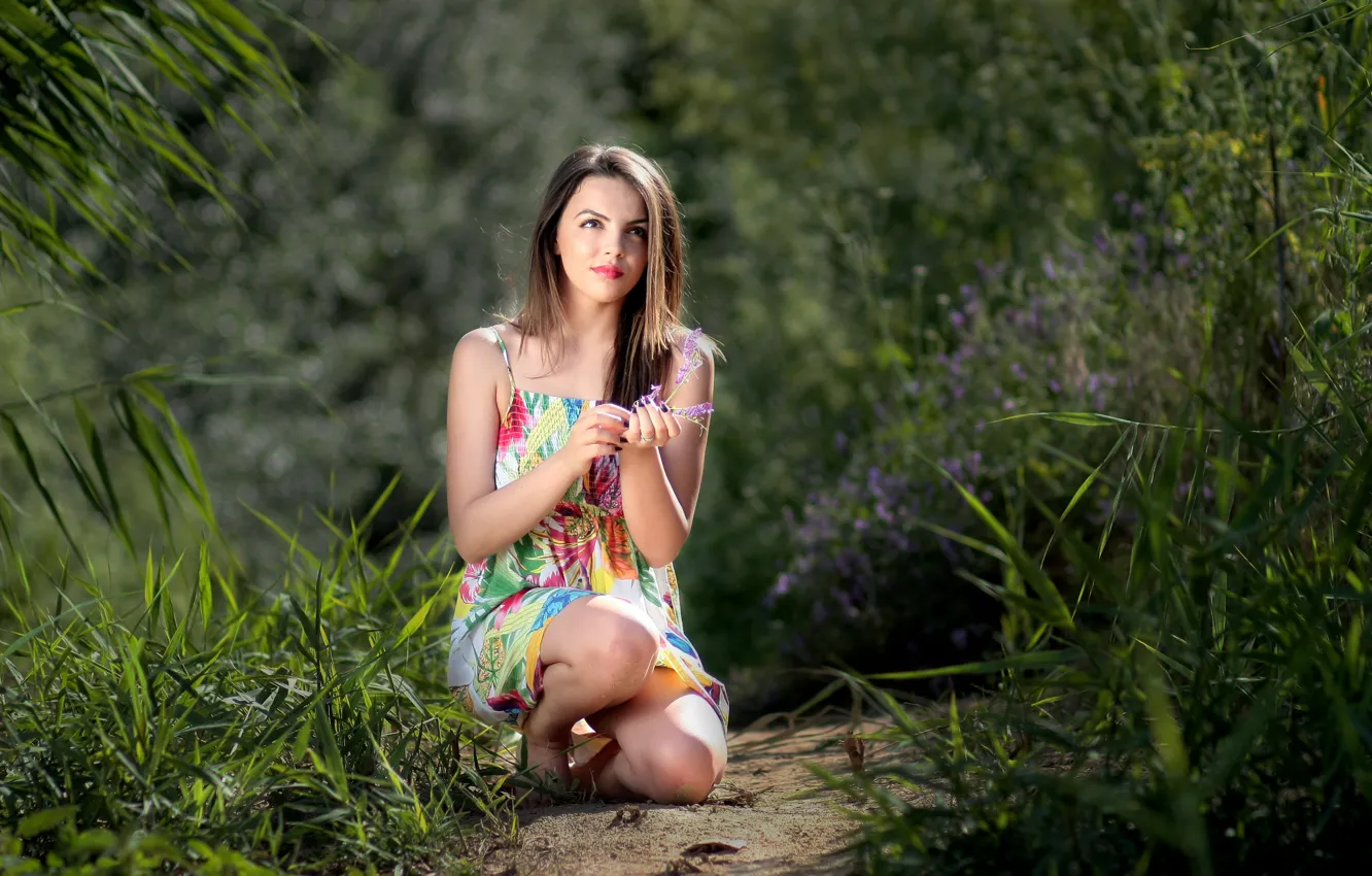 Фото обои трава, цветы, тропинка, красивая девушка, солнечный день, на природе, очаровательная