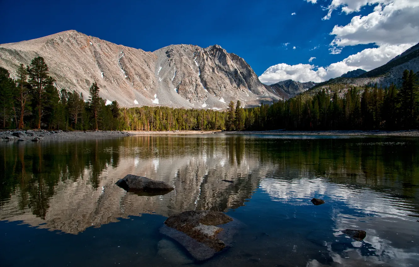 Фото обои лес, горы, отражение, Калифорния, California, Сьерра-Невада, озеро Дороти, Dorothy Lake