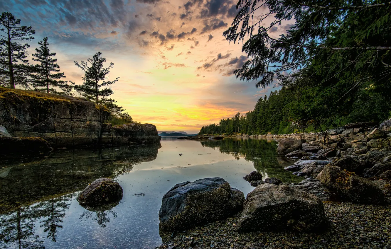 Фото обои лес, река, скалы, утро, Канада