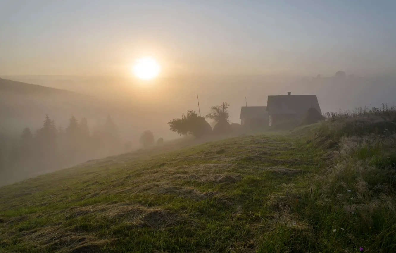 Фото обои лето, туман, утро, Карпаты