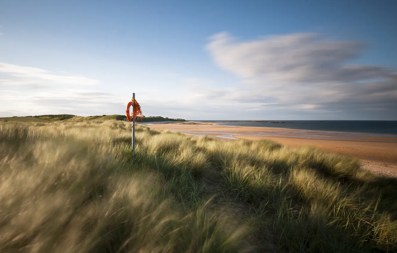 Фото обои песок, море, трава, берег, Англия, Великобритания, спасательный круг
