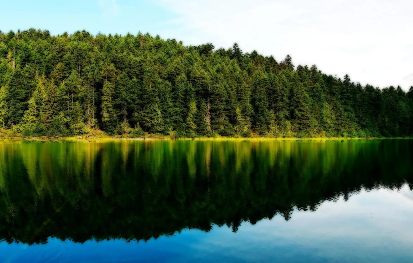 Фото обои природа, лес озеро, отражение леса в нем и облаков