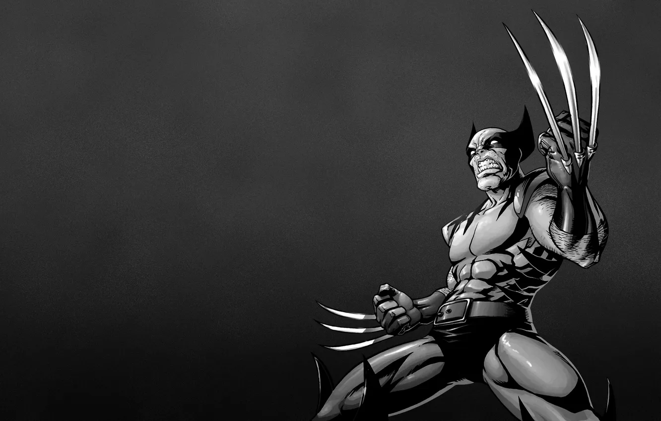 Фото обои Росомаха, Логан, люди икс, Wolverine, Marvel, x-men, Comics
