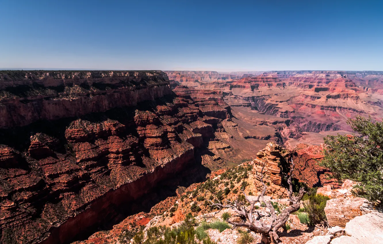 Фото обои горы, каньон, Аризона, USA, США, Arizona, rocks, canyon