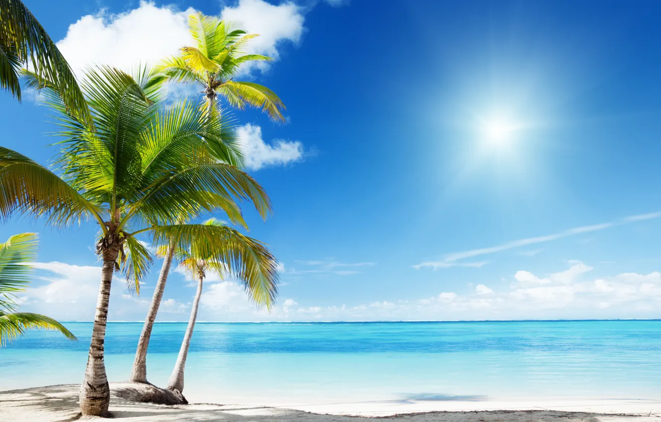 Фото обои пляж, природа, пальмы, океан, рай, экзотика