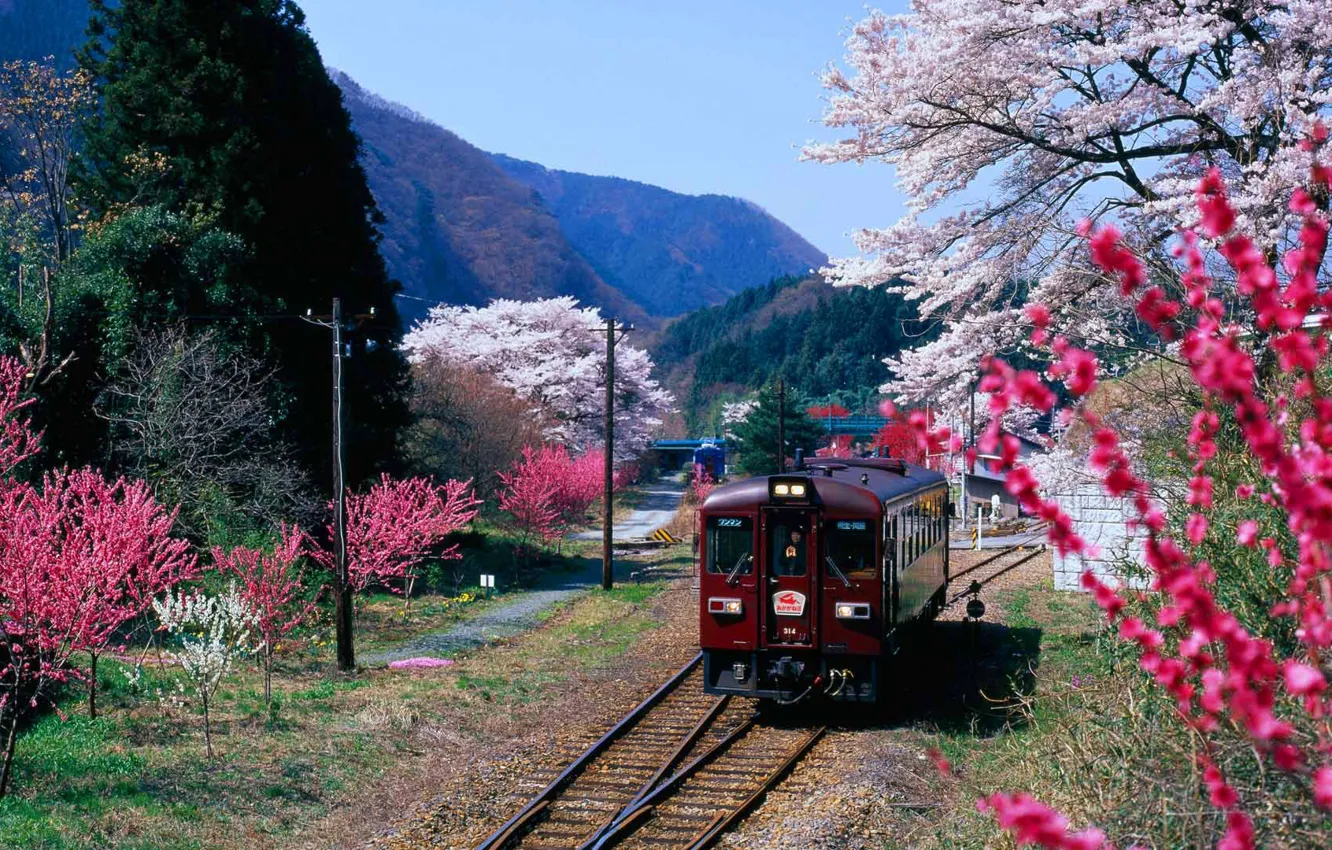 Фото обои горы, поезд, весна, Япония, цветение, префектура Гумма