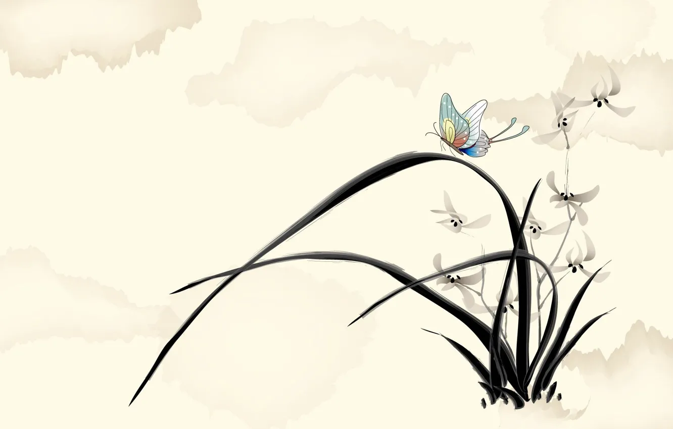 Фото обои цветы, бабочка, рисунок