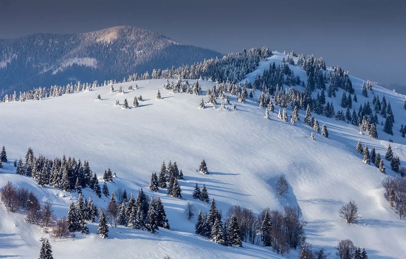 Фото обои зима, лес, солнце, снег, деревья, горы, вид сверху, Словакия