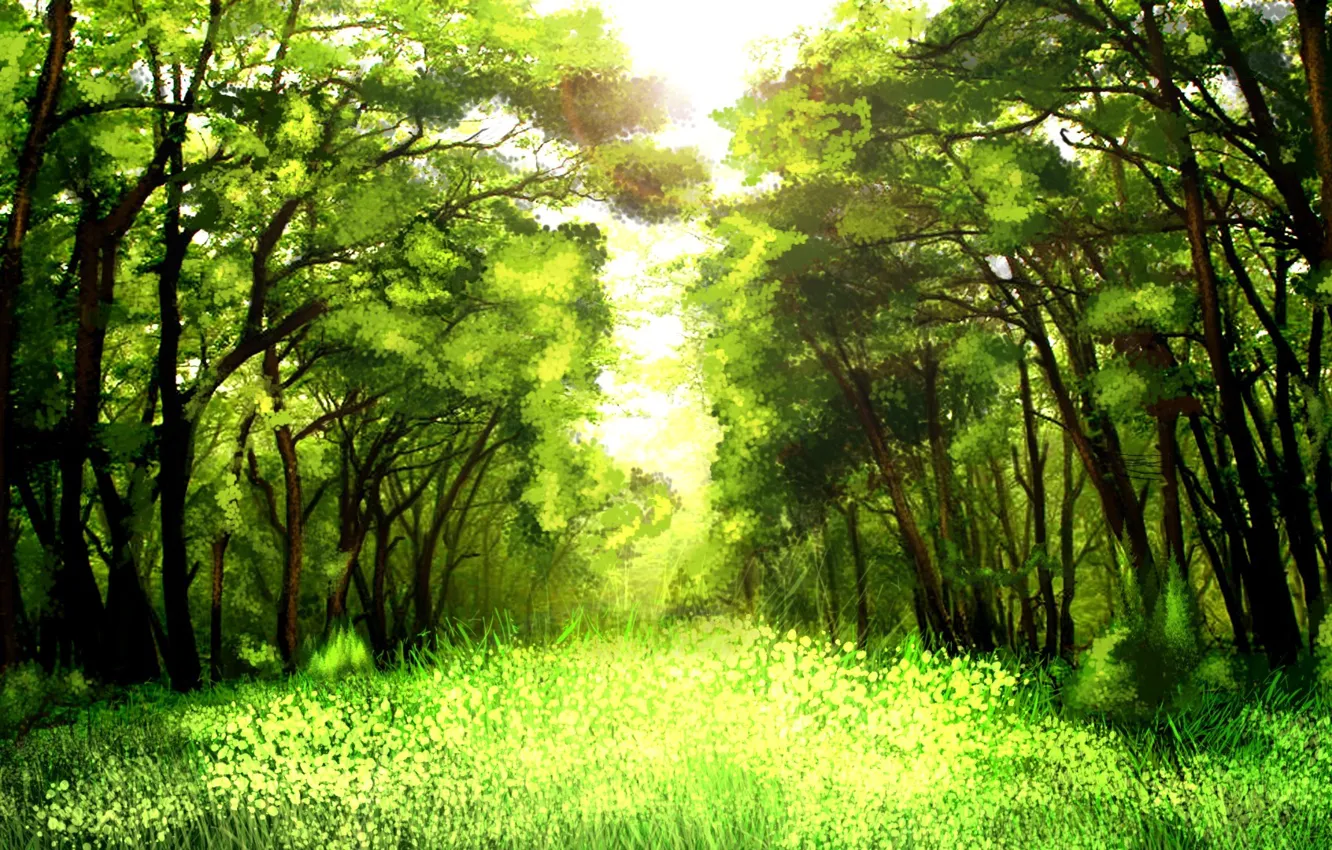 Фото обои зелень, лес, трава, деревья, природа, арт, солнечно