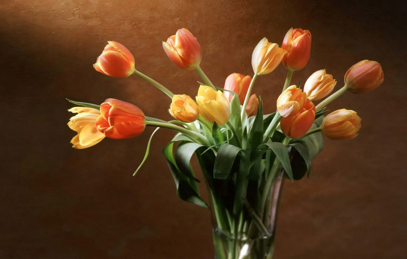 Фото обои стена, желтые, тюльпаны, красные, ваза, оранжевые