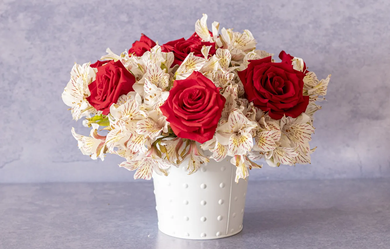 Фото обои цветы, розы, букет, красные, горшок, альстромерии