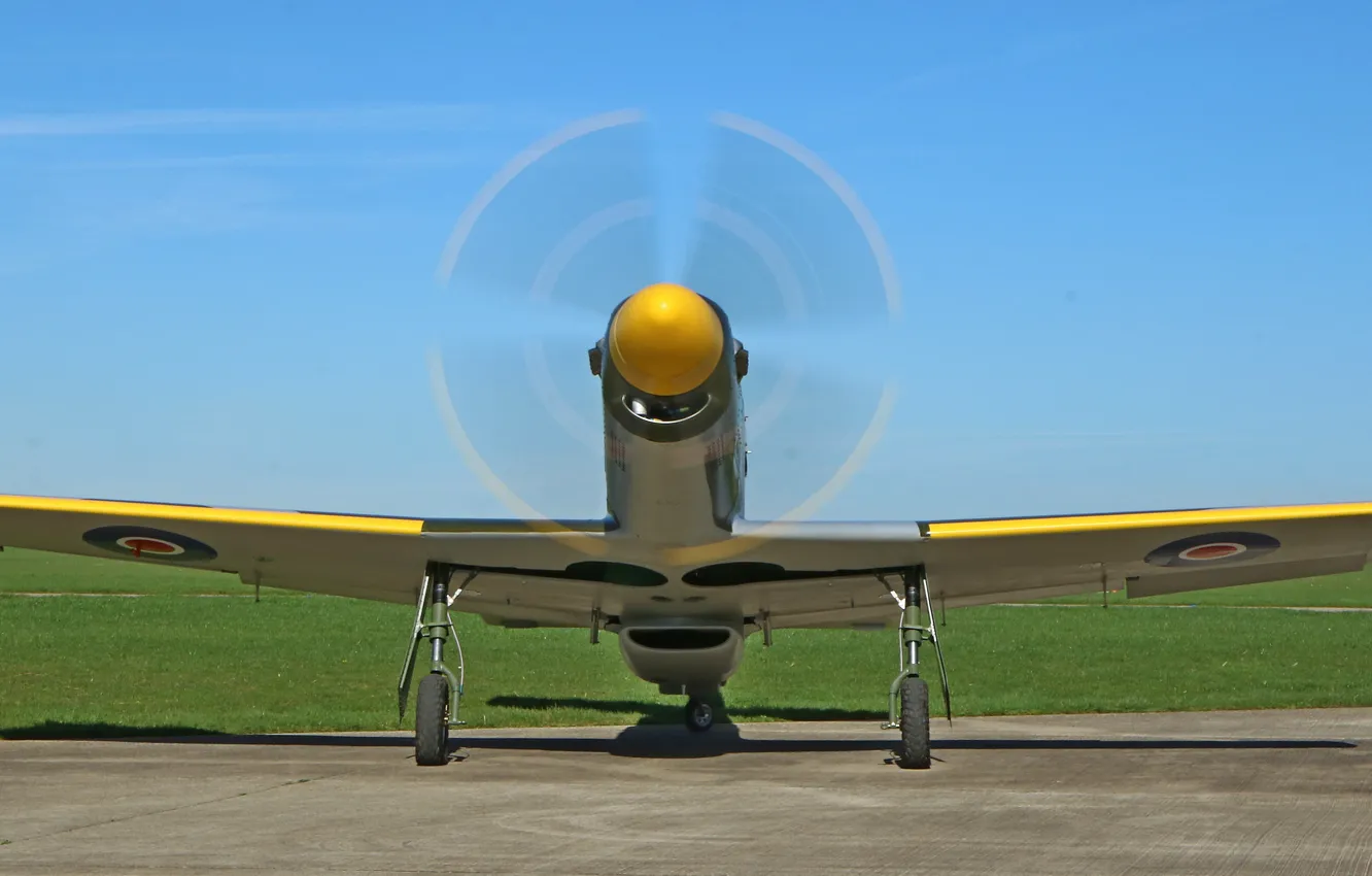 Фото обои Mustang, пропеллер, аэродром, Titan, T-51B