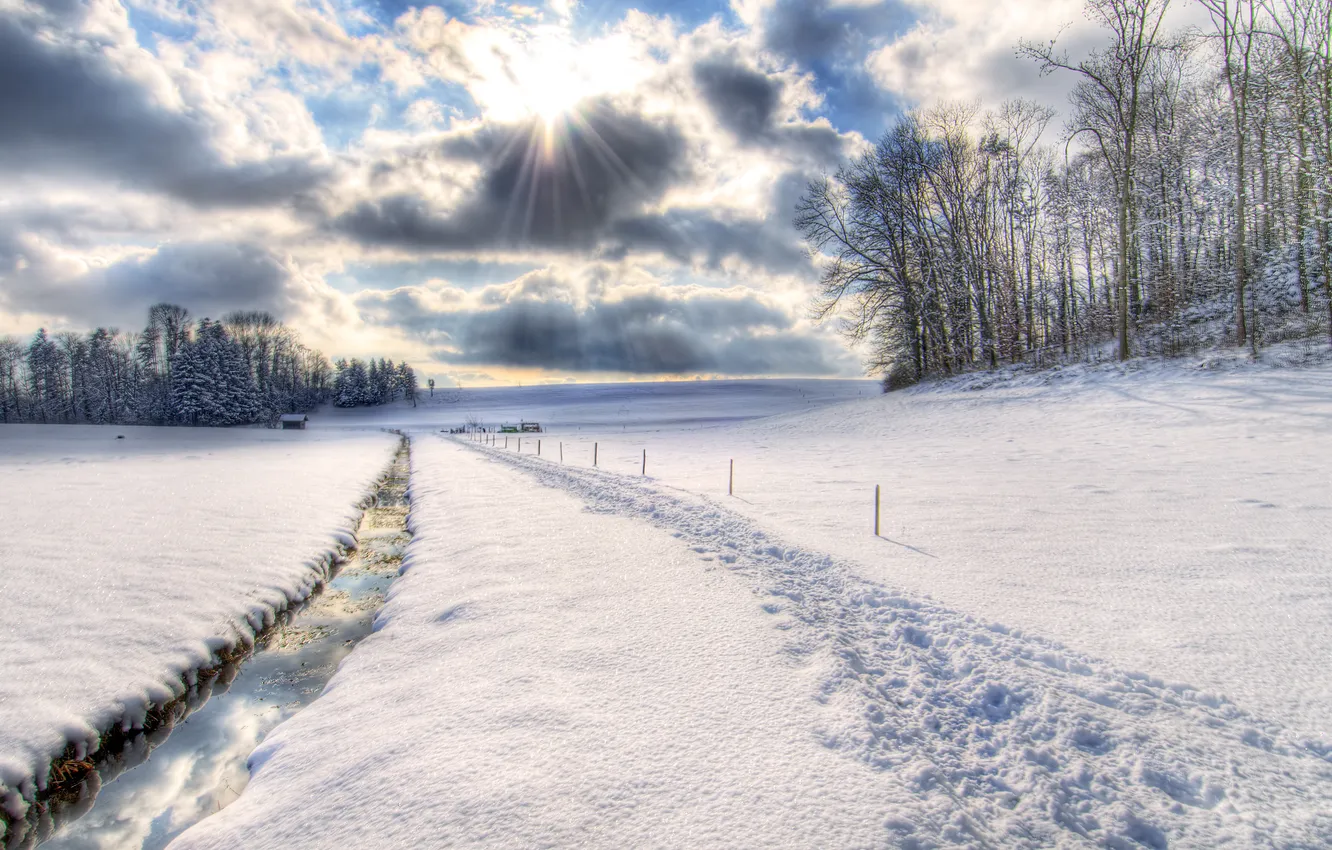 Фото обои зима, солнце, снег, природа