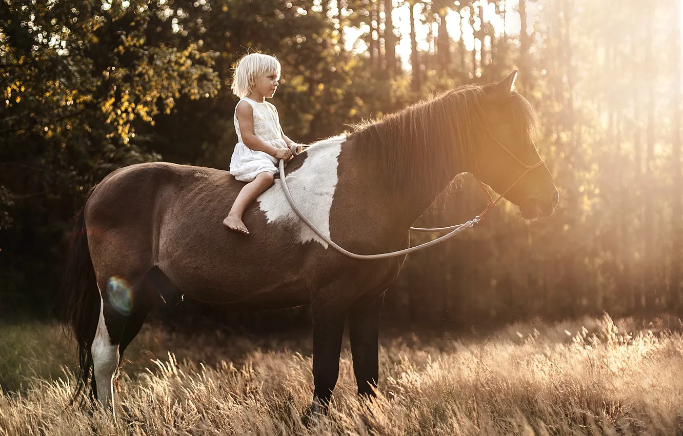 Фото обои свет, конь, девочка