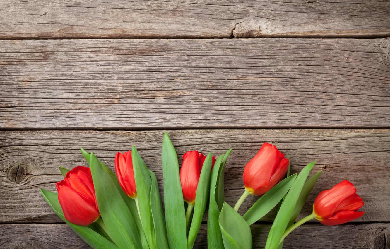 Фото обои цветы, букет, тюльпаны, red, love, wood, flowers, romantic