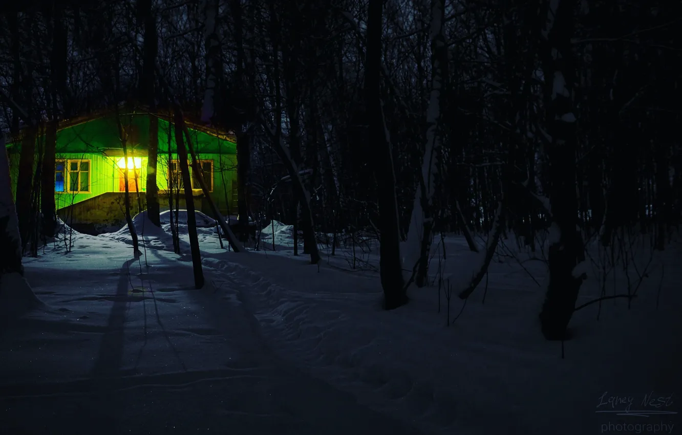 Фото обои light, house, forest, trees, nature, blue, night, winter