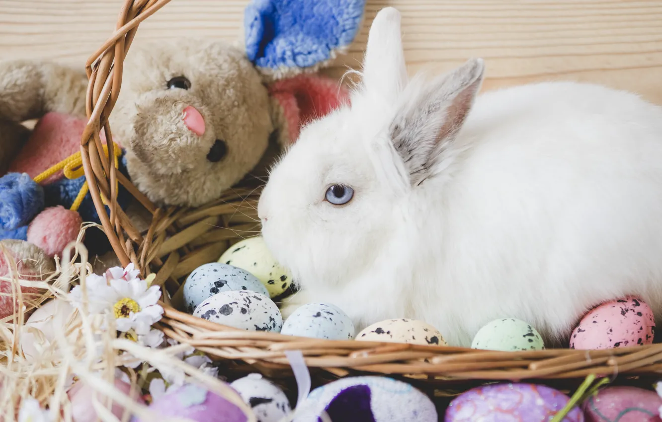 Фото обои корзина, игрушка, яйца, кролик, пасха, Праздник
