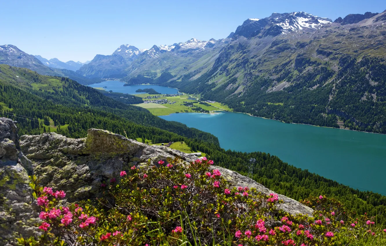 Фото обои лес, цветы, горы, озеро, камни, Швейцария, долина, склон