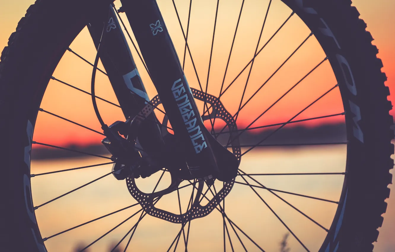 Фото обои велосипед, колесо, силуэт, байк, диск, вилка, спицы, specialized
