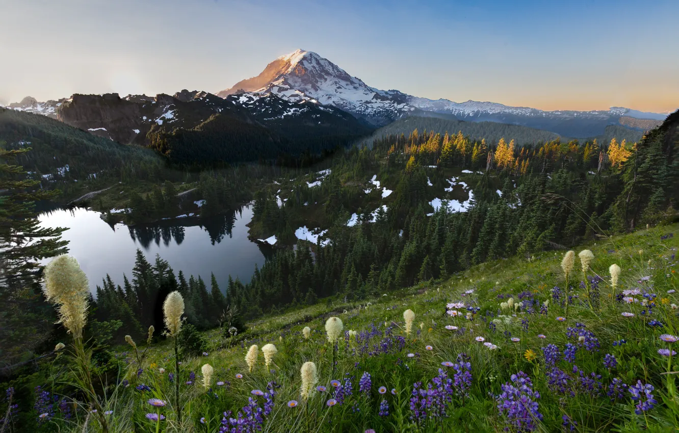 Фото обои деревья, пейзаж, горы, природа, озеро, склон, США, травы