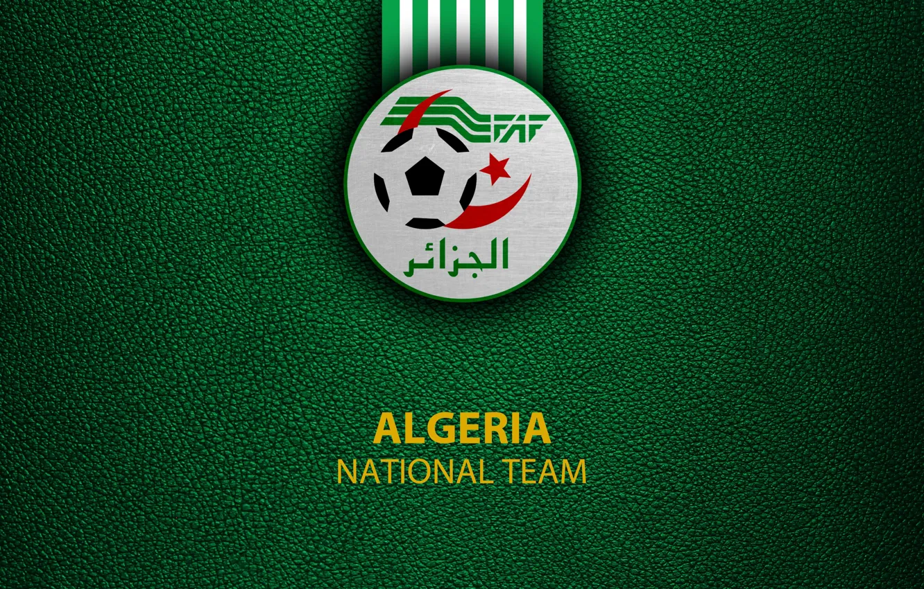 Фото обои wallpaper, sport, logo, football, Algeria, National team