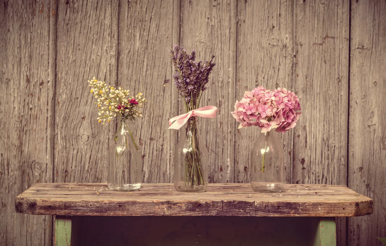 Фото обои цветы, лепестки, натюрморт, лаванда