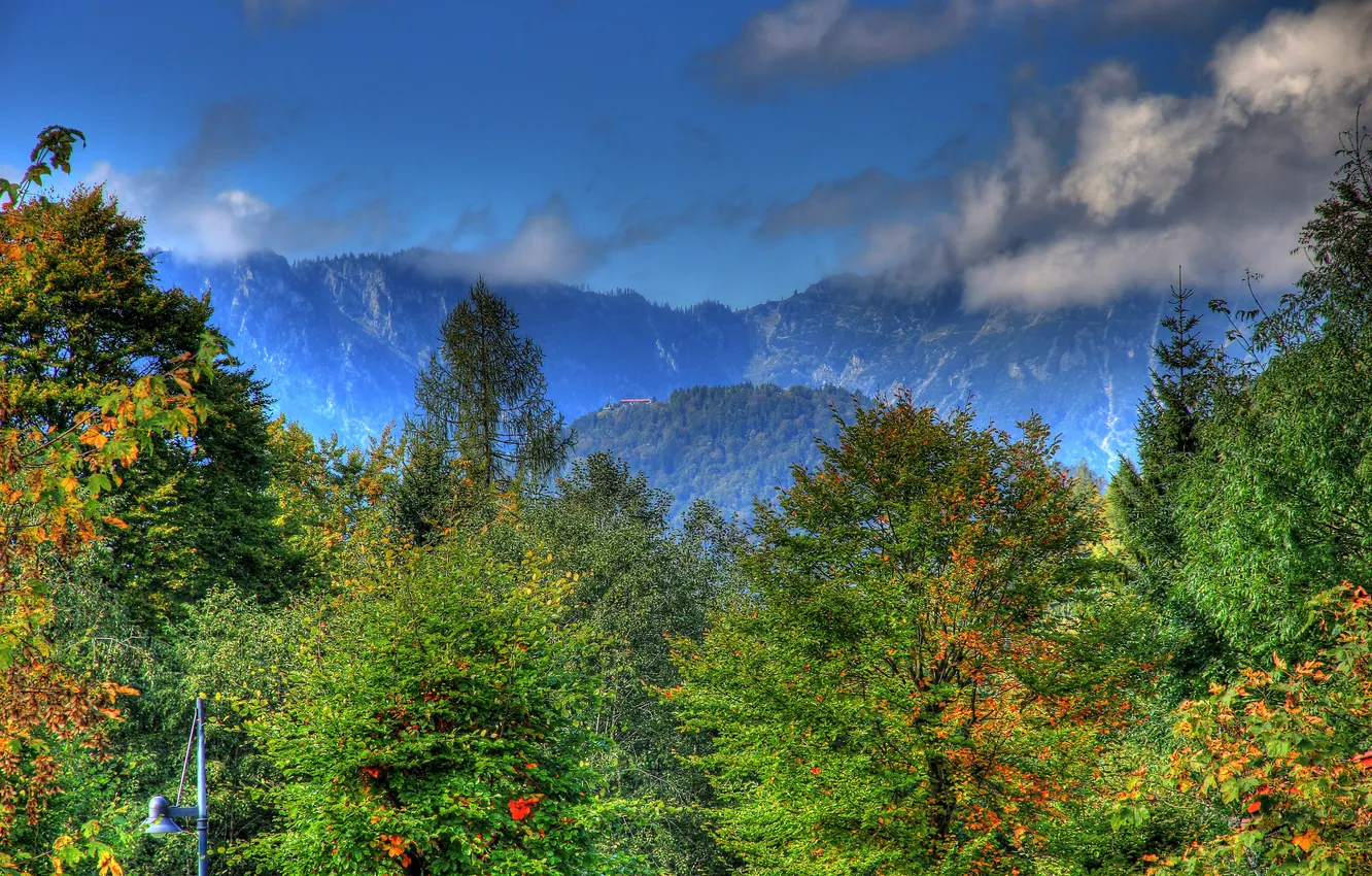 Фото обои лес, облака, деревья, горы