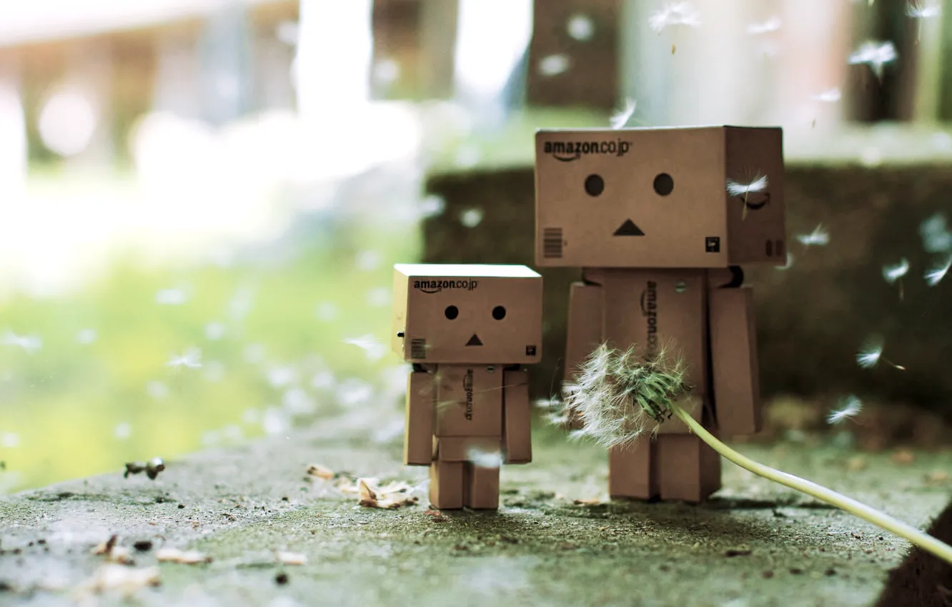 Фото обои одуванчик, Danbo, данбо, коробочки