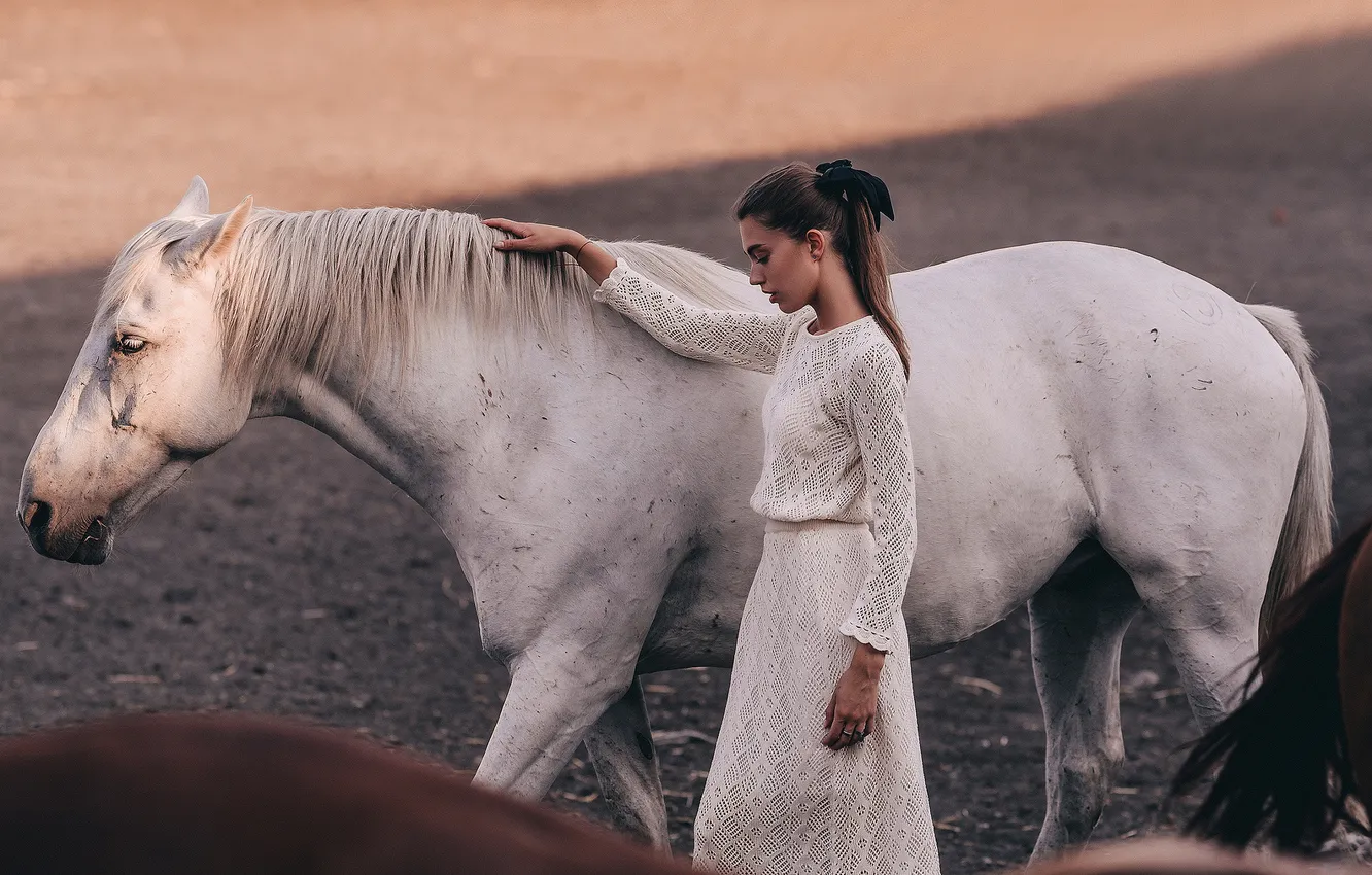 Фото обои белый, девушка, конь, лошадь, прогулка, белое платье