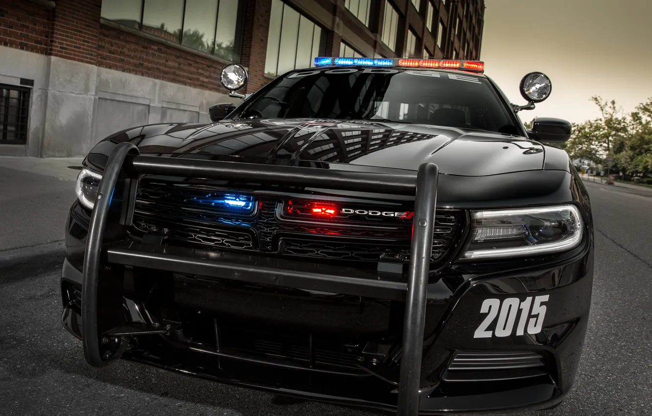 Фото обои Dodge, бампер, Charger, police, Pursuit, мигалки, 2015