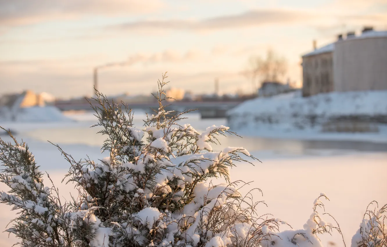 Фото обои холод, зима, снег, город, рассвет, мороз, санкт-петербург, холодно